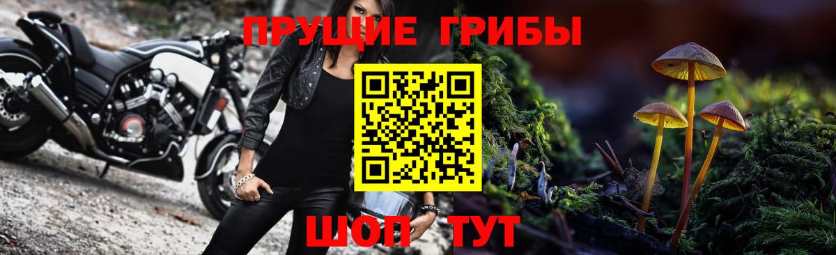 Галлюциногенные грибы Psilocybe  Вход с VPN  Сорочинск 